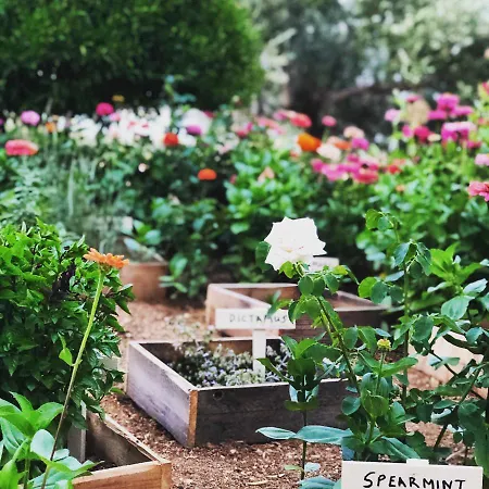 Apartamento Liostasi Retreat *