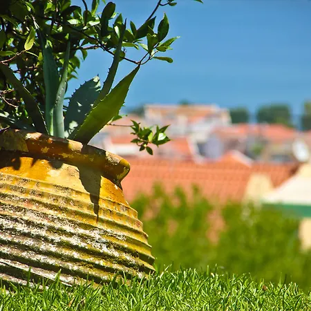 Liostasi Retreat Apartamento